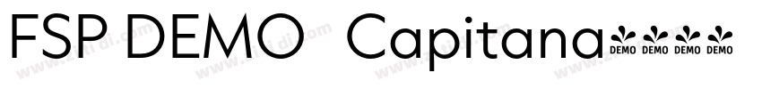 FSP DEMO   Capitana字体转换